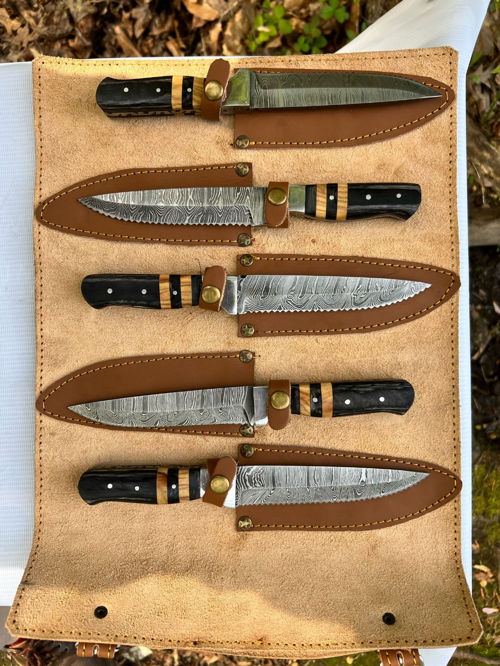 5 Piece Steak Set - Olive Wood & Pakkawood Handles